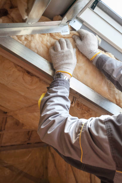 Best Insulation Maintenance and Repair in Monmouth, IL